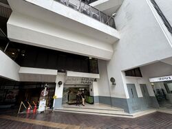 Cuppage Plaza (D9), Shop House #500972541